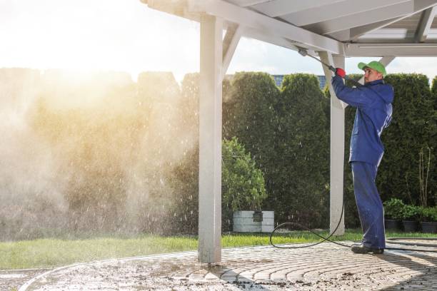 Best Soft Washing for Delicate Surfaces in Hometown, IL